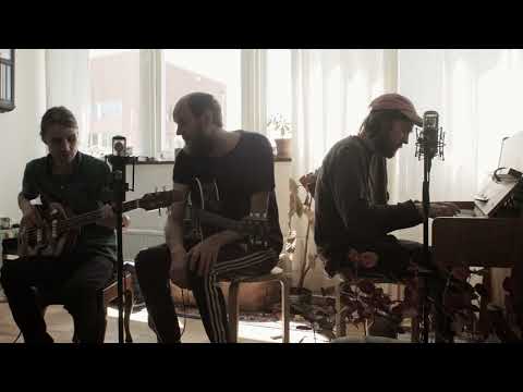 Den svenska björnstammen spelar - Innan dom stelnar