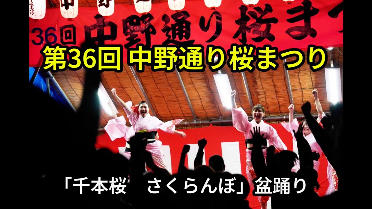 【千本桜　さくらんぼ】盆踊り　第36回 中野通り桜まつり