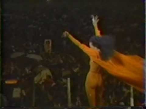 Diana Ross Live 1983 in Central Park Reach Out and Touch