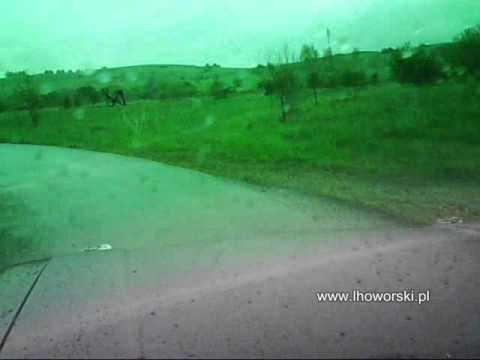 Ł.Howorski, A.Tokarzewski, Classicauto Rajd Magurski 2011, PS 5, Kryg I onboard