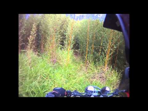 KTM Freeride 250R - the ride up and in.