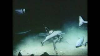 Deep Sea Autopsy Dubstep (JT25)