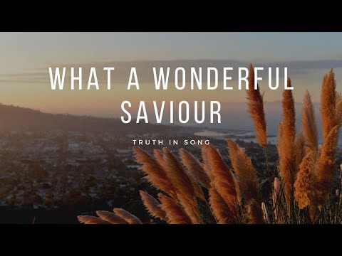 What a Wonderful Savior