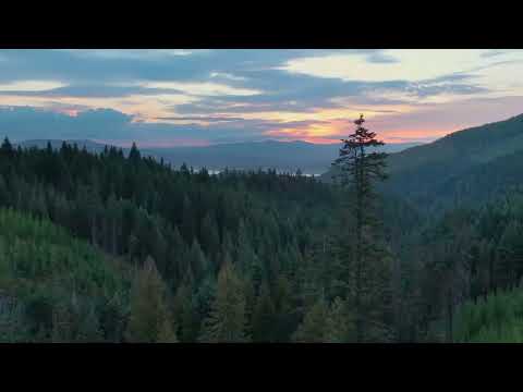 Idaho Gives More - Spring 2022