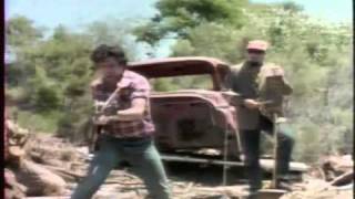 Elvis is Everywhere by Mojo Nixon