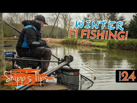 Des Shipp's Winter F1 Tactics! | SHIPP'S TIPS | Episode 24