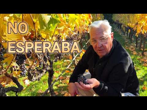 No esperábamos vivir esto en El Bolsón