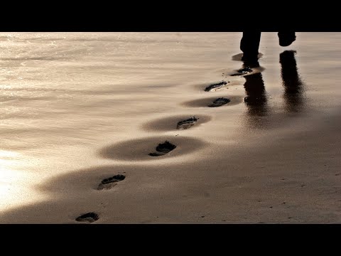 Episodio 02 Mutualità e sostenibilità, un legame a doppio filo