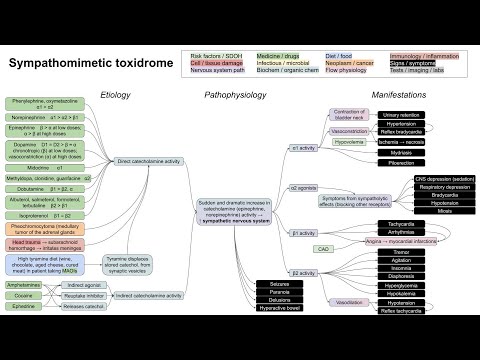 Sympathomimetic toxidrome (mechanism of disease)