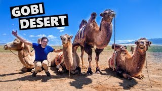 Don't Miss The GOBI DESERT: Beautiful Sand Dunes, Ugly Camels!! (Trans Siberian Railway In Mongolia)