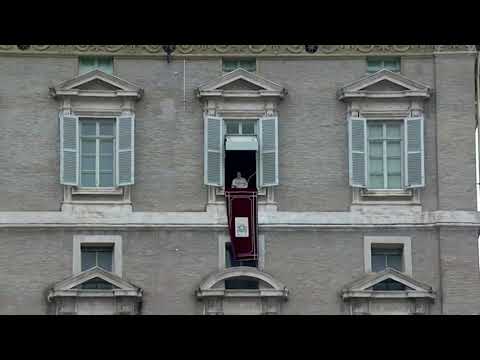 クリスマスツリーとキリスト降誕「希望の象徴」と教皇は言う (Christmas tree and nativity 'symbols of hope,' Pope says)