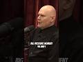 Billy talks about Bullet with Butterfly Wings (JRE, Episode 2283, Billy Corgan) #smashingpumpkins