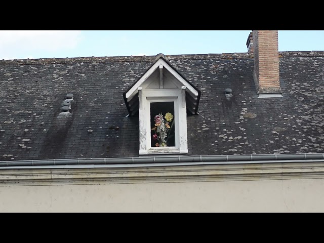 A fidgety kid with a camera (short video collage)