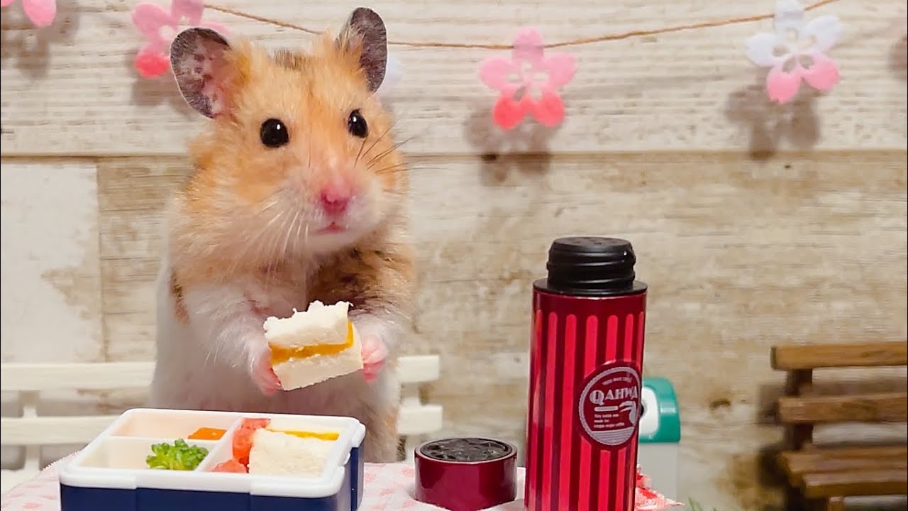 【ハムスター】ミニチュア世界のピクニック