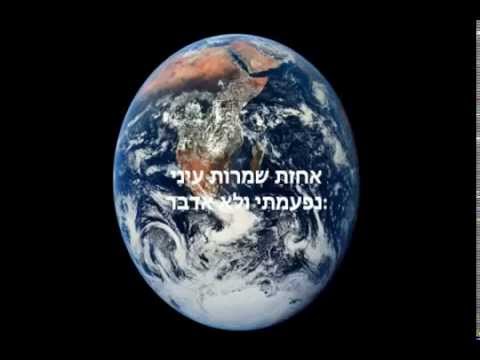 התיקון הכללי  ארז יחיאל