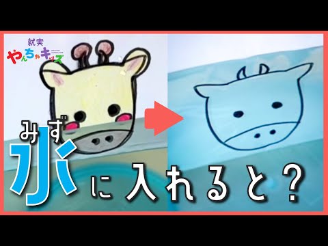 表現文化学科 【就実やんちゃキッズ　GBA】おうちでじっけん　水で遊ぼう
