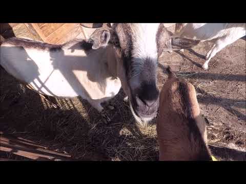 B&B 'L Ramassin in primavera