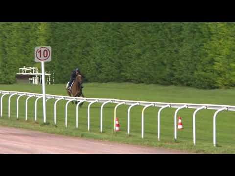 Breeze-Up Osarus 2020 - Lot 27