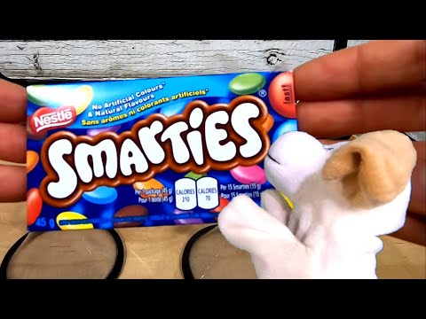 Excite Dog Meets the Vortex!