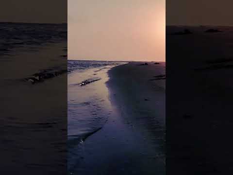 Ye Sham Mastani | Shriwardhan Beach | October 2023