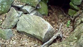 preview picture of video 'Upton, Massachusetts Stone Chamber'