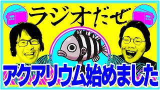 熱帯魚を飼った週【ラジオだぜ 第278回】