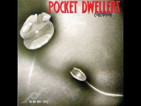 Pocket Dwellers Conception Mix Tape Track 8: Horney Guitar Solo