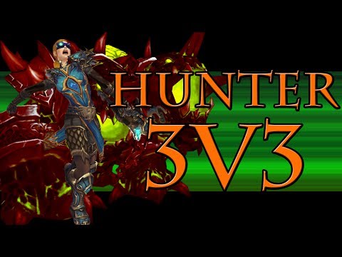 2800+ Marksmanship Hunter 3v3 Arena #12