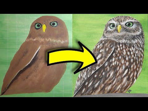 Painting Cute Little Owl in Acrylics | #timelapsepainting