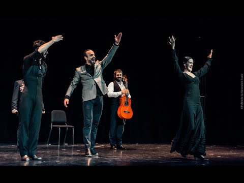 Casa Patas Flamenco Francisco Hidalgo