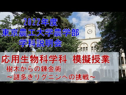 2022年度東京農工大学農学部　学科説明会　応用生物科学科　模擬授業　樹木からの錬金術～謎多きリグニンへの挑戦～
