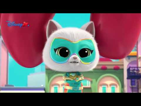 "Idiot/You idiot!" Compilation