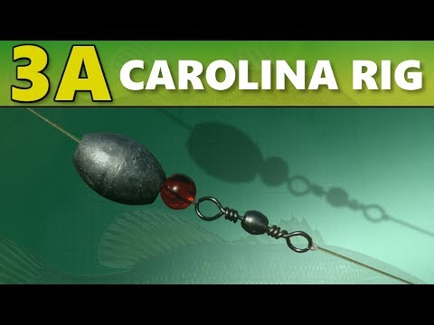 INTERMEDIATE GUIDE to BASS FISHING: 3A - Carolina Rig
