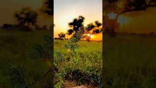 Download lagu do pal ruka khwabon ka (flute) mp3