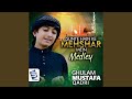 Sunte Hain Ke Mehshar Mein