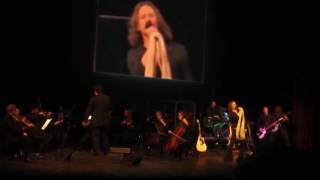 Kashmir Live (Led Zeppelin Tribute Band NYC) LED BLIMPIE