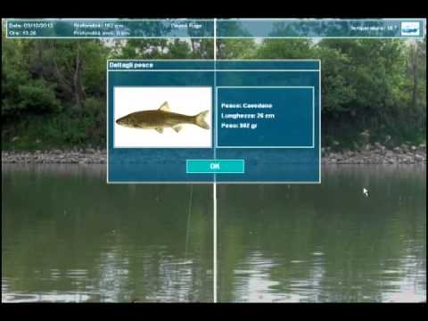 TrueFish Castelnuovo Bocca D'Adda