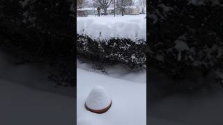 #shorts Level 3 Winter  Snow Storm  Emergency Warning January 25,2026