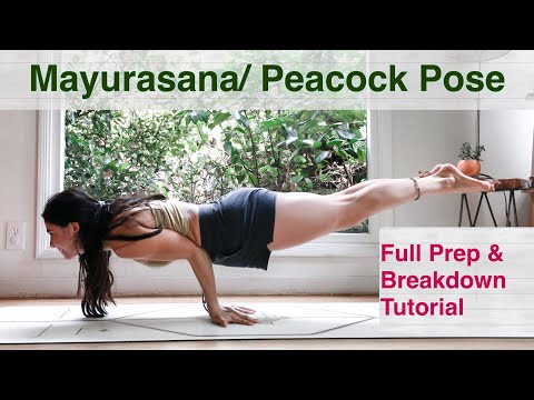 Vollständiges Tutorial zur Mayurasana-/Pfauenhaltung 🦚