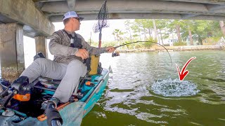 This is Why You Fish Tiny Bridges (They Hold GIANTS!)
