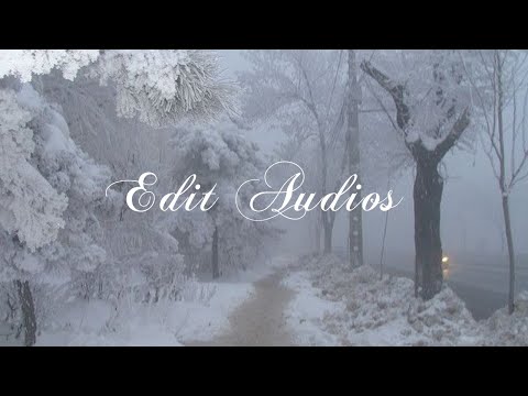 ✦ edit audios since you are absolutetly stunning. ✦ || edit audios (+TIMESTAMPS IN DESC !!)