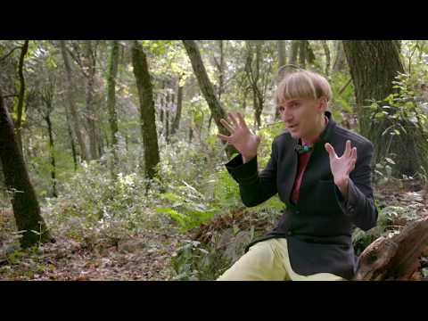 Cíborgs entre nosaltres - Seqüència inicial