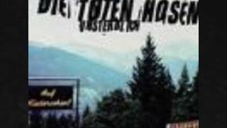 Regen - Die Toten Hosen