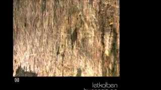 LetKolben - Your time - Blaq Records