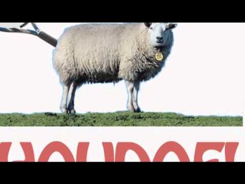 Marten Oorvijg ft Daggetnie - Houdoe | Carnaval 2011