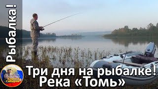 На рыбалку по томи и притокам