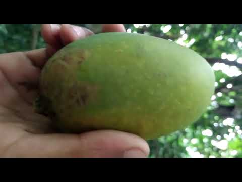 What a marketing by 7 years old boy 🤘👌it's amazing.Next level of Tallent. he surprised me #BADAL RAJ