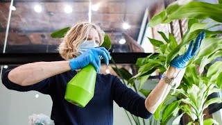 NYC Plant Care During Lockdown: A Day In The Life!