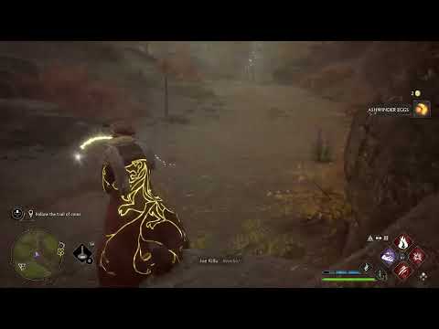 Hogwarts Legacy A Thief in the night!