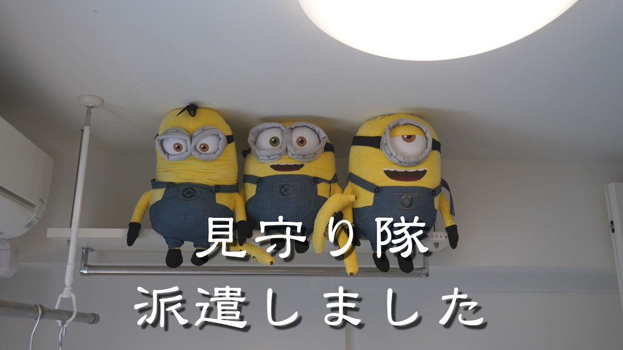 こうちゃん春休みが終わるお姉ちゃんを下宿まで送迎する